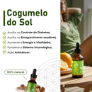 Kit 04 Cogumelos (Juba de Leão, Reishi, Shiitake e Cogumelo do Sol) - 20% OFF