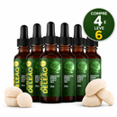 Compre 4 e Leve 6 - JUBA DE LEÃO - Extrato Cogumelo Funcional