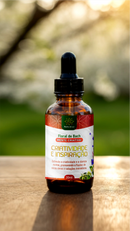 Floral de Bach - CRIATIVIDADE E INSPIRAÇÃO - 30ml