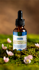 Floral de Bach - INSEGURANÇA E BAIXA AUTOESTIMA - 30ml