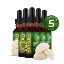 Compre 4 e Leve 5 - JUBA DE LEÃO - Extrato Cogumelo Funcional