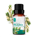 Óleo Essencial de Melaleuca - 10ml