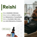 Kit 04 Cogumelos (Juba de Leão, Reishi, Shiitake e Cogumelo do Sol) - 20% OFF