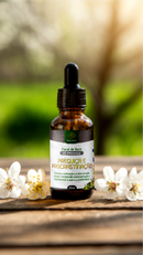 Floral de Bach - PREGUIÇA E PROCRASTINAÇÃO - 30ml