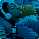 Kit 02 Und. Reishi Extrato Cogumelo