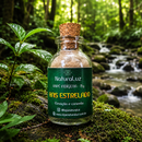 Rapé Anis Estrelado - Medicina Indígena do Acre