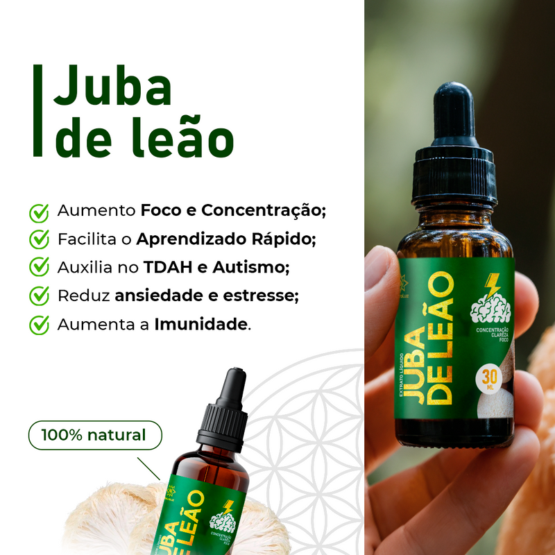 Kit 04 Cogumelos (Juba de Leão, Reishi, Shiitake e Agaricus Blazei) - 20% OFF