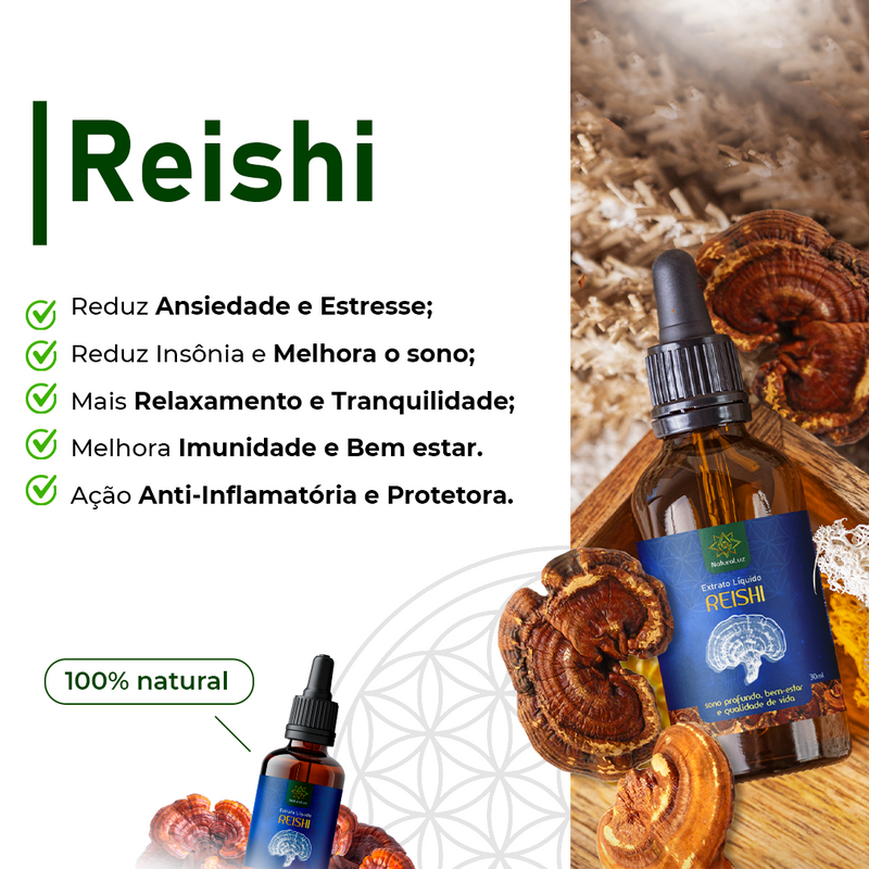 Kit 04 Cogumelos (Juba de Leão, Reishi, Shiitake e Agaricus Blazei) - 20% OFF