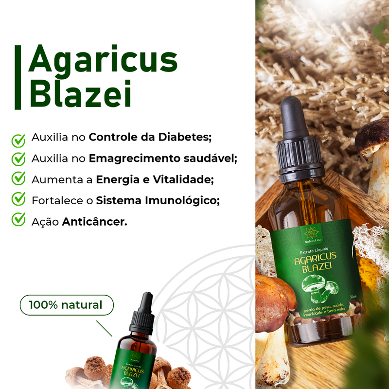 Kit 04 Cogumelos (Juba de Leão, Reishi, Shiitake e Agaricus Blazei) - 20% OFF